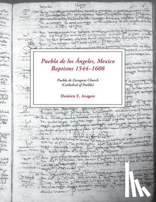 Aragon, Damien E. - Puebla de los Ángeles, Mexico Baptisms 1544-1608: Puebla de Zaragoza Church (Cathedral of Puebla)