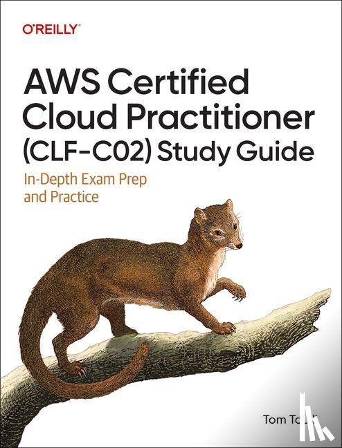 Taulli, Tom - AWS Certified Cloud Practitioner (CLF-C02) Study Guide