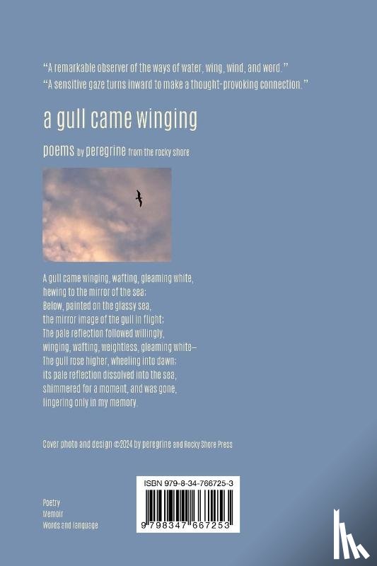 Peregrine - A gull came winging