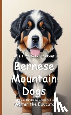 Walter the Educator - It's Time to Learn about Bernese Mountain Dogs