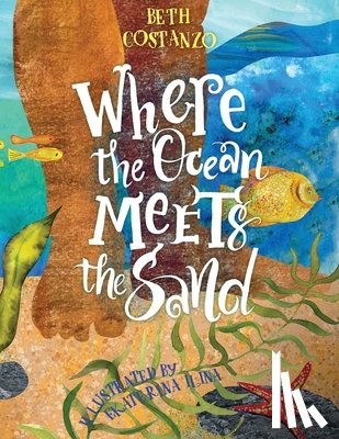 Costanzo, Beth - Where the Ocean Meets the Sand - Children's Book of the Ocean for Ages 3-8, Discover All The Exciting Things You Can See & Do On a Beach - Beautifully