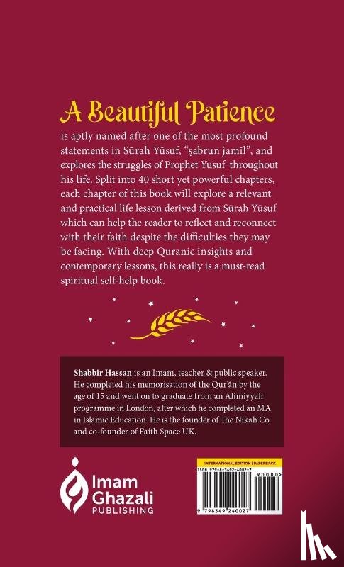 Hassan, Shabbir - A Beautiful Patience (HB)