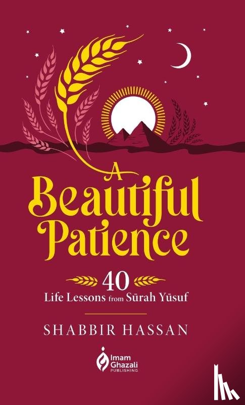 Hassan, Shabbir - A Beautiful Patience (HB)