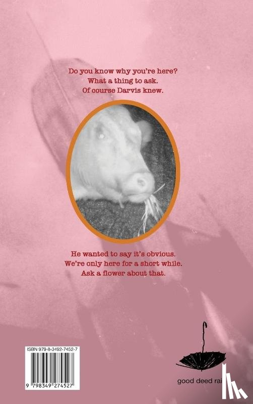 Frost, Allen - Do You Know Why You're Here?