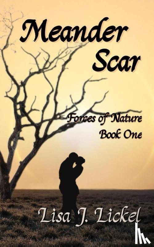 Lickel, Lisa J - Meander Scar