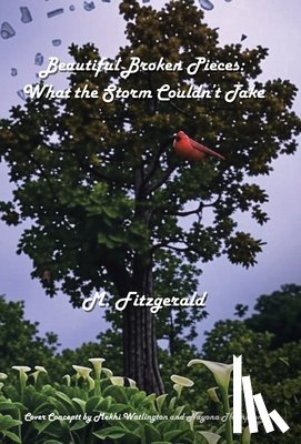 Fitzgerald, M. - Beautiful Broken Pieces: What the Storm Couldn't Take