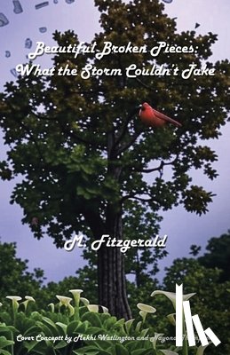 Fitzgerald, M. - Beautiful Broken Pieces