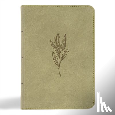 Holman Bible Publishers - NASB Large Print Compact Reference Bible, Sage Suedesoft Leathertouch