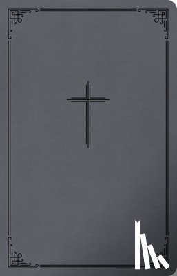 Csb Bibles by Holman - CSB Thinline Bible, Value Edition, Charcoal Leathertouch