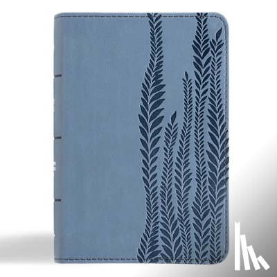 Csb Bibles by Holman - CSB Large Print Compact Reference Bible, Digital Study Edition, Slate Leathertouch