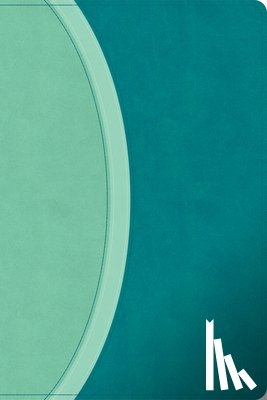 Csb Bibles By Holman - CSB Rainbow Study Bible, Teal Leathertouch (Limited Edition)