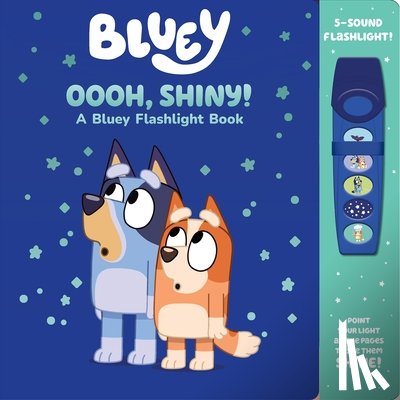 PI Kids - Bluey: Oooh, Shiny! A Bluey Flashlight Book Sound Book
