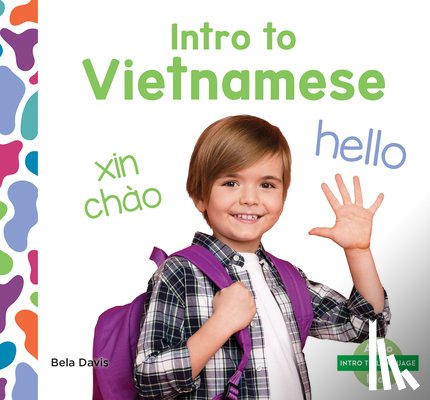 Davis, Bela - Intro to Vietnamese