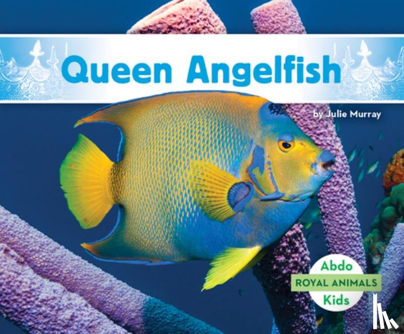 Murray, Julie - Queen Angelfish