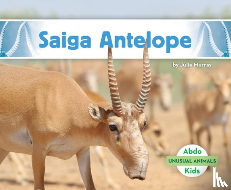 Murray, Julie - Saiga Antelope