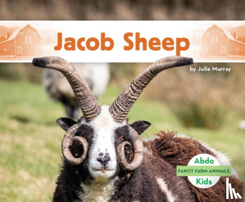 Murray, Julie - Jacob Sheep