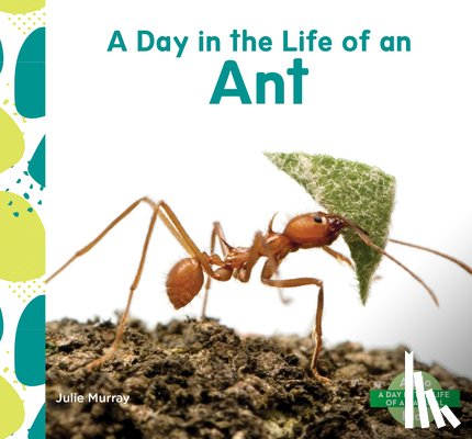 Murray, Julie - Day in the Life of an Ant