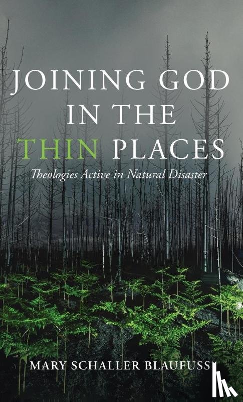 Blaufuss, Mary Schaller - Joining God in the Thin Places