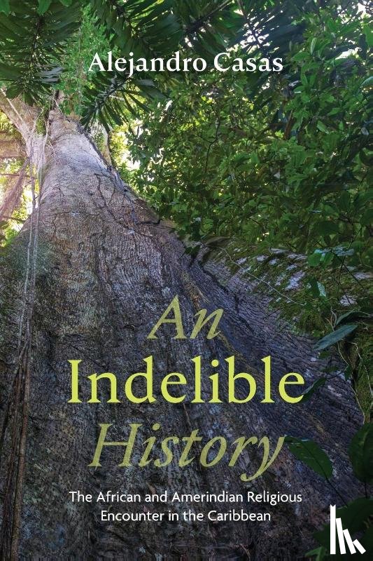 Casas, Alejandro - An Indelible History