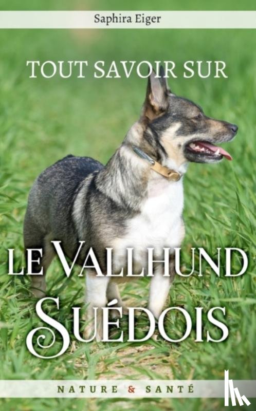 Eiger, Saphira - Tout Savoir sur le Vallhund Suedois
