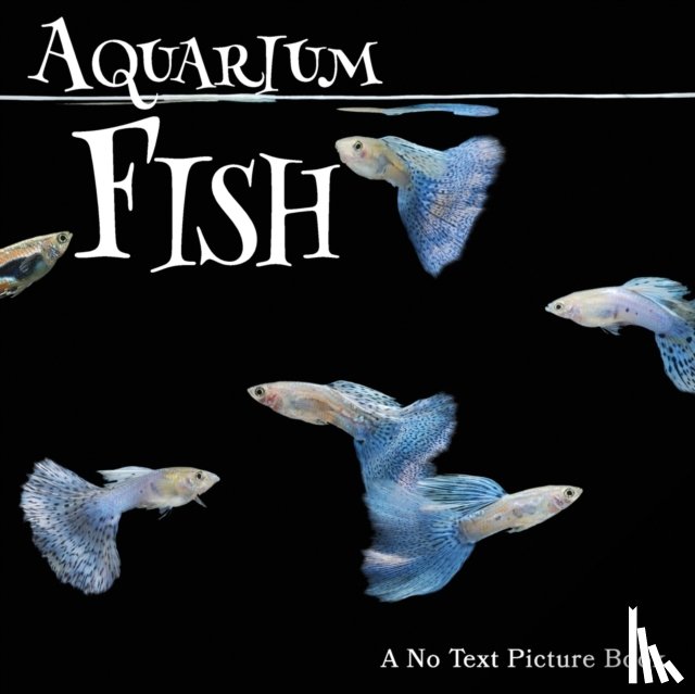 Happiness, Lasting - Aquarium Fish, A No Text Picture Book