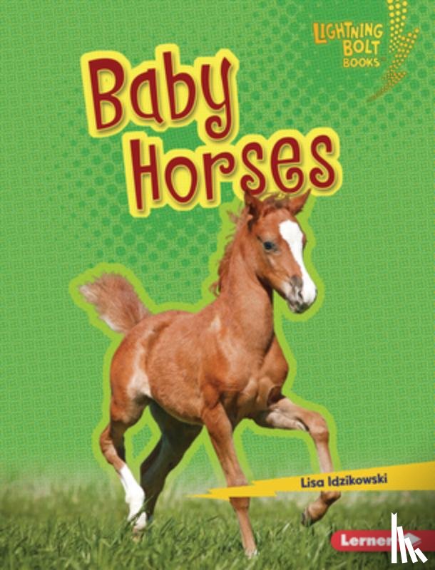 Idzikowski, Lisa - Baby Horses