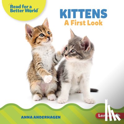 Anderhagen, Anna - Kittens: A First Look