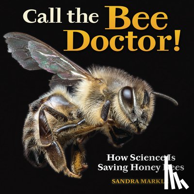 Markle, Sandra - Call the Bee Doctor!: How Science Is Saving Honey Bees
