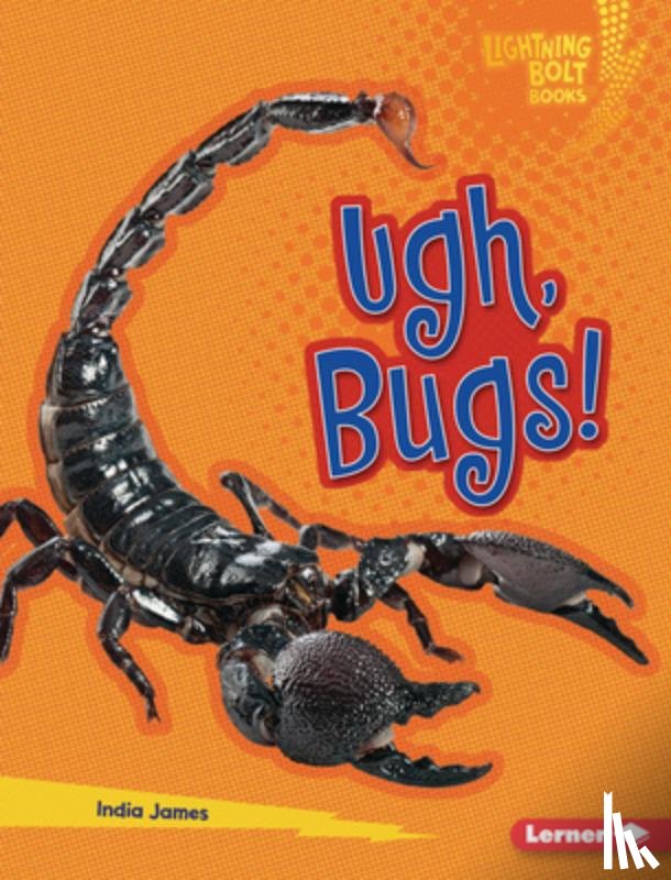 James, India - Ugh, Bugs!