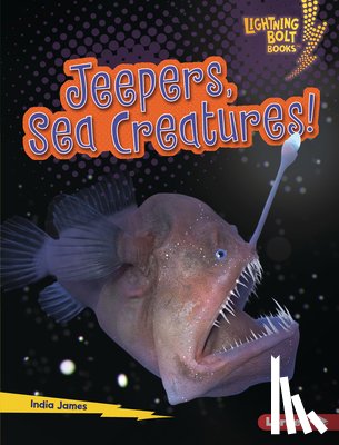 James, India - Jeepers, Sea Creatures!