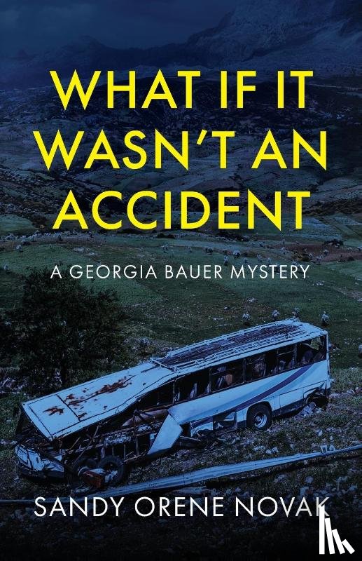 Novak, Sandy Orene - What if it Wasn't an Accident