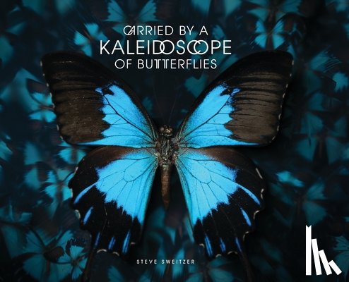 Sweitzer, Steve - Carried by a Kaleidoscope of Butterflies