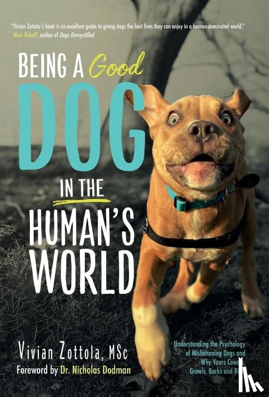 Zottola Msc, Vivian - Zottola Msc, V: Being A (Good) Dog In The Human's World