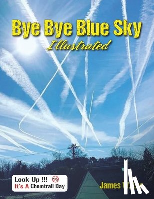 Lee, James W. - Bye Bye Blue Sky Illustrated: Color