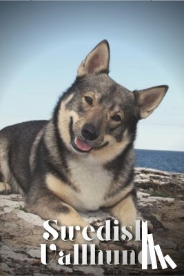 Pustova, Nina - Swedish Vallhund