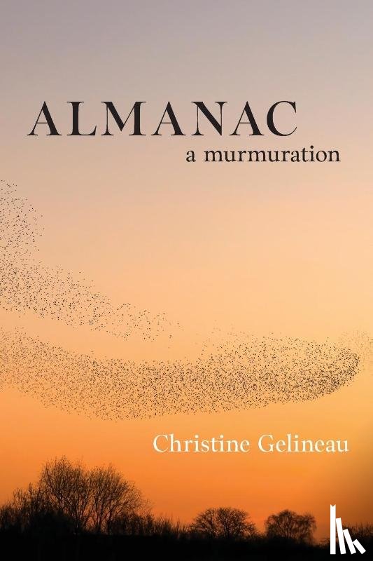 Gelineau, Christine (Binghamton University - Almanac