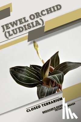 Sabanen, Tetiana - Jewel Orchid (Ludisia): Closed terrarium, Beginner's Guide
