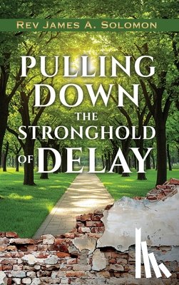 Solomon, James A. - PULLING DOWN the STRONGHOLD of DELAY