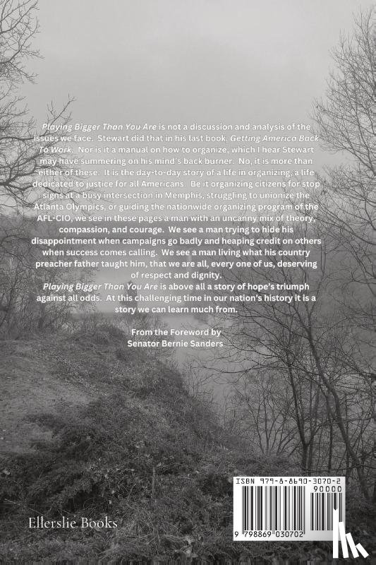 Acuff, Stewart - Playing Bigger Than You Are