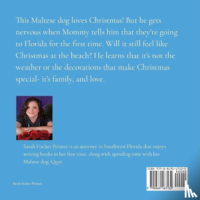 Fischer Pointer, Sarah - A Dog's Christmas on the Beach