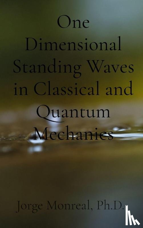 Monreal, Jorge - One Dimensional Standing Waves in Classical and Quantum Mechanics