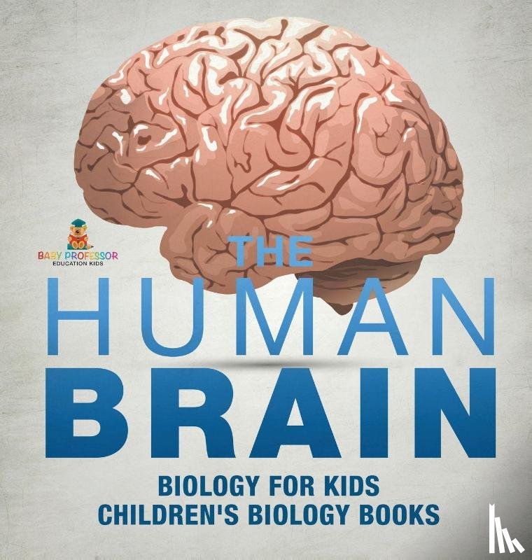 Baby - The Human Brain - Biology for Kids | Children's Biology Books