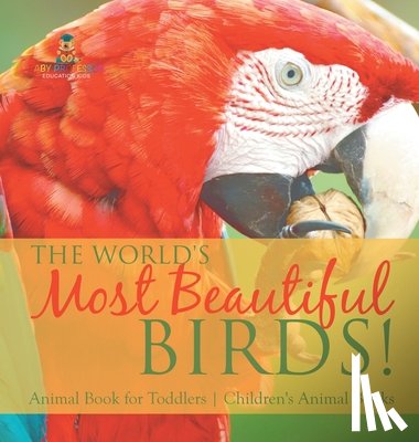 Baby - The World's Most Beautiful Birds! Animal Book for Toddlers | Children's Animal Books