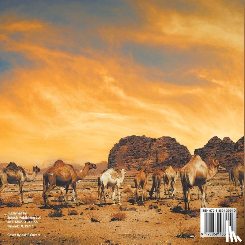 Baby - Art and Entertainment in Ancient Africa - Ancient History Books for Kids Grade 4 | Children's Ancient History