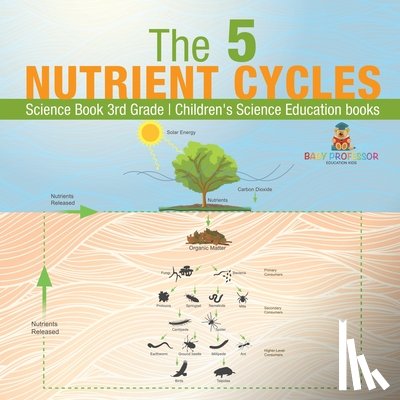 Baby - The 5 Nutrient Cycles - Science Book 3rd Grade | Children's Science Education books