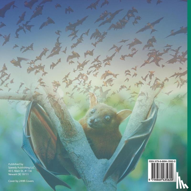 Baby - How Does Echolocation Work? Science Book 4th Grade | Children's Science & Nature Books