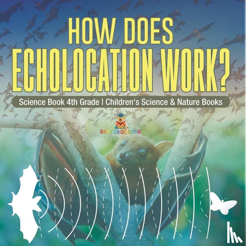 Baby - How Does Echolocation Work? Science Book 4th Grade | Children's Science & Nature Books