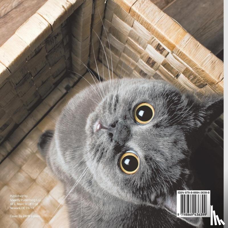Pets Unchained - Here Kitty! Kitty! | Fun Facts Cats Book for Kids | Children's Cat Books