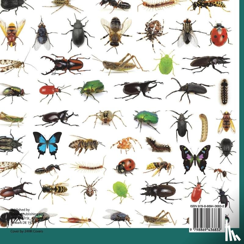 Baby - Spiders, Ticks, Mites, Scorpions and More | Insects for Kids - Arachnid Edition | Children's Bug & Spider Books