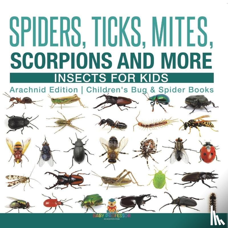 Baby - Spiders, Ticks, Mites, Scorpions and More | Insects for Kids - Arachnid Edition | Children's Bug & Spider Books